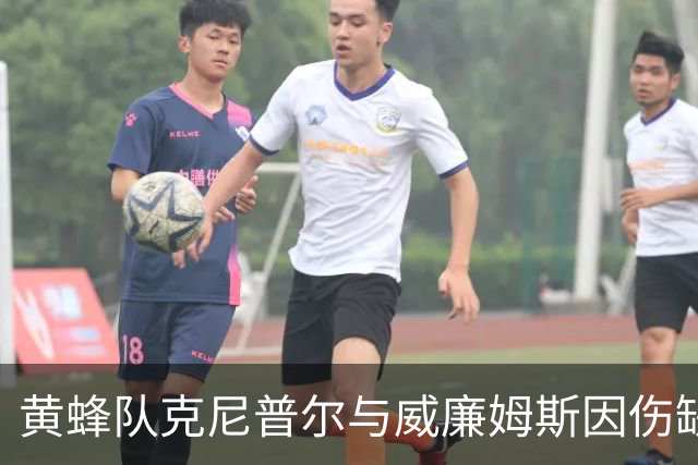 黄蜂队克尼普尔与威廉姆斯因伤缺席季前赛